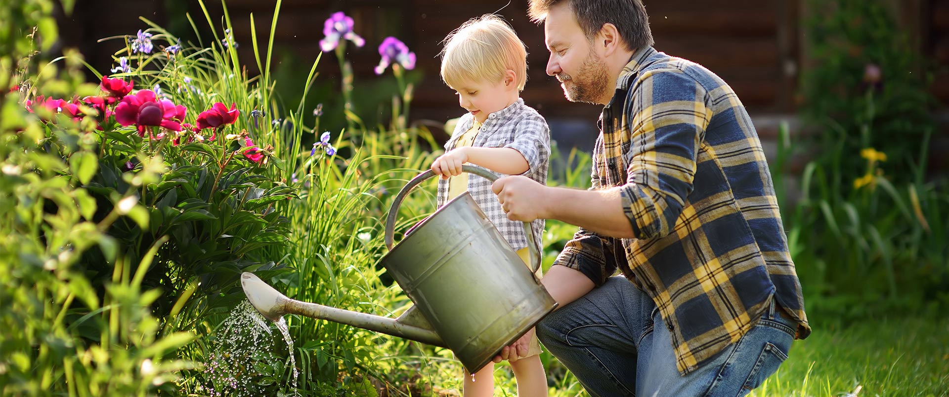 Gardening Growth